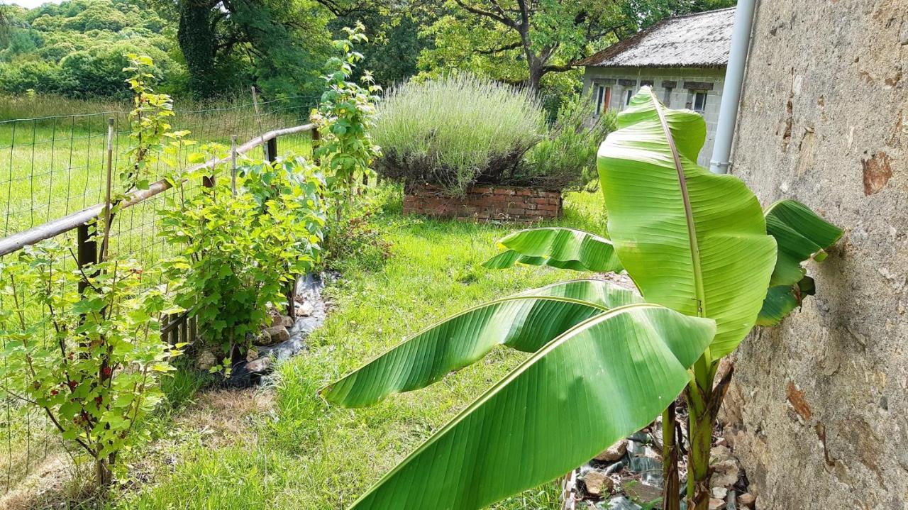 Appartement Charmant Orgnac-Sur-Vezere Avec Jardin Et Parking Exterior foto